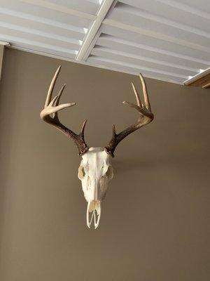 Euro mount