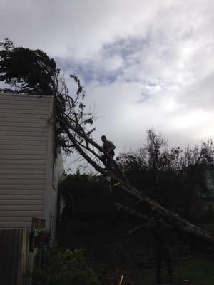 Hazard storm removal, done safely too. San Francisco, CA