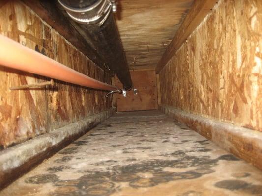 Hidden mold on the backside of drywall.