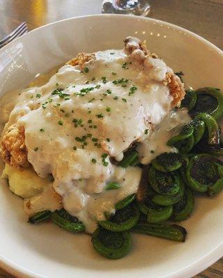 Chicken fried chicken over mashed with gravy. Fiddleheads sautéed with onion.