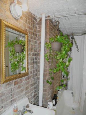 Exposed Brick Walls and Clawfoot Tubs