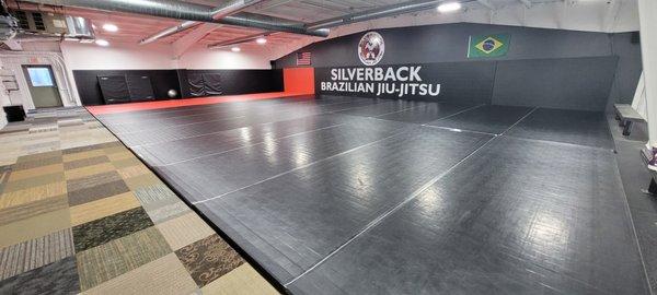 Silverback Brazilian Jiu-Jitsu