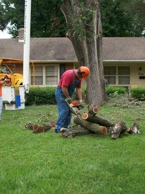 Bucking log.