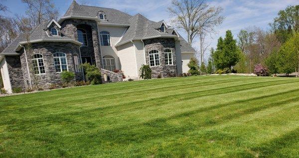 Customer's Front Lawn