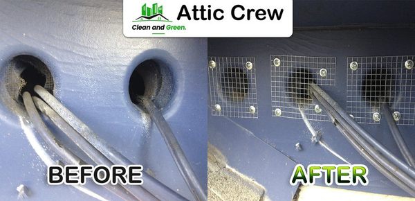 From the attic to the roof and everywhere in between, we can rodent proof your space to keep unwanted critters out!