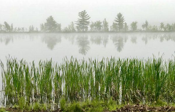 Morning on Lake Wentworth, Wolfeboro NH