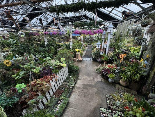 Larchmont Nurseries and Greenhouses