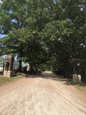 Beautiful tree-lined Drive