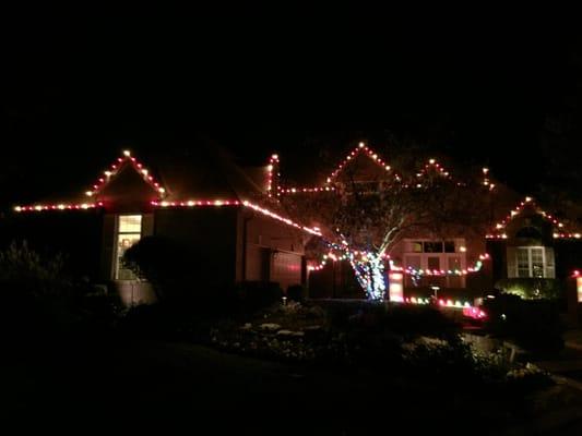 Holiday Lights