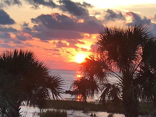 Steinhatchee River Club