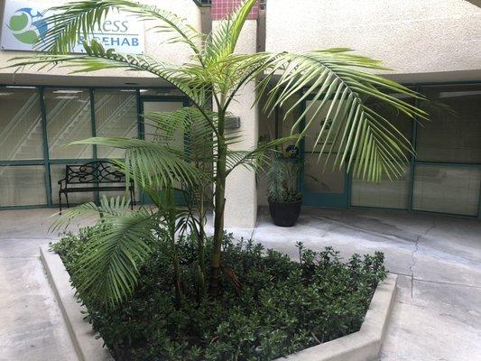 Wellness pt front court yard