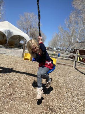 Rope swing