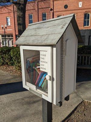 Little Free Library, Fort Valley GA