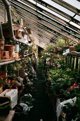 Brookville Nurseries