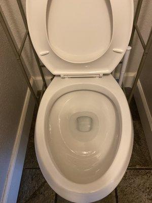 Toilet cleaned