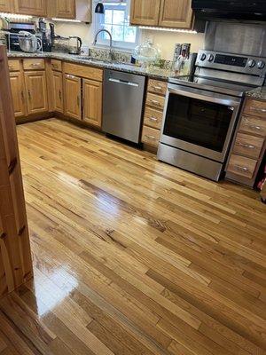 My floors have never looked shinier and this house was built in 1953 and we had the floors refinished 30 years ago