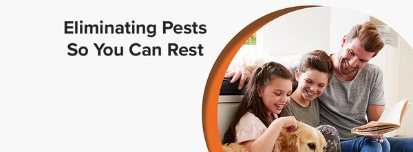 Manning Pest Services