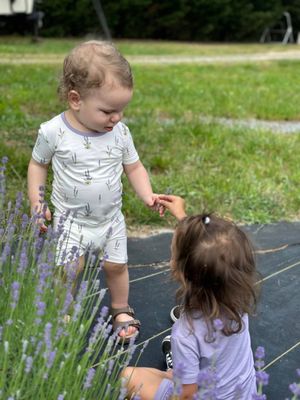 sweet baby cousins sharing a little lavender flower