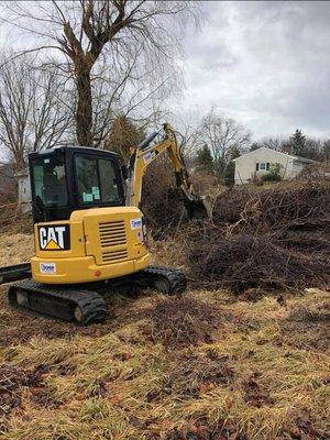 Chris T. Tree Services in Danbury, CT