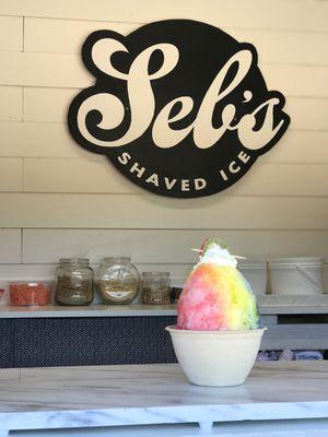 Rainbow Signature Snowball