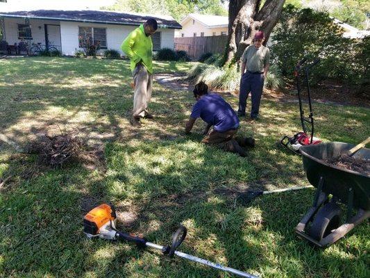 Placing the sod in the spot that was removed