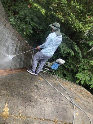 Roof washing