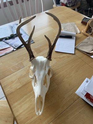 Euro mount