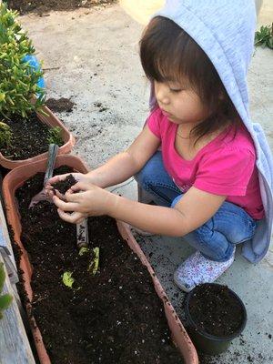 A connection to nature is encouraged in our garden and via the care of classroom pets.