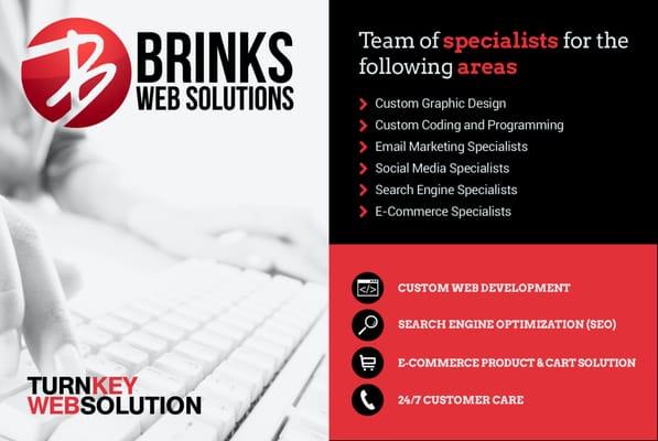 Brinks Web Solutions options