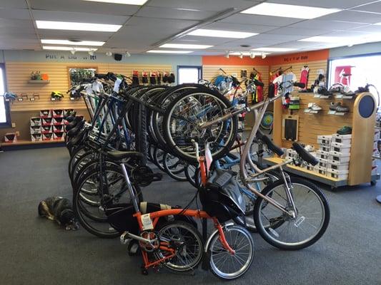 Over half of The Bike Hub is dedicated to family and recreational style comfort bikes (double the inventory in the basement)!