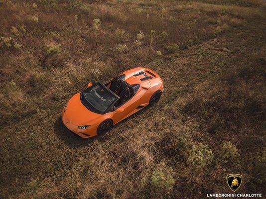 Lamborghini Charlotte