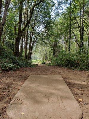 Tee pad #4 for the disc golf course