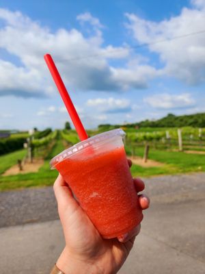 Strawberry Kiwi Lemonade Slushy is a top favorite!