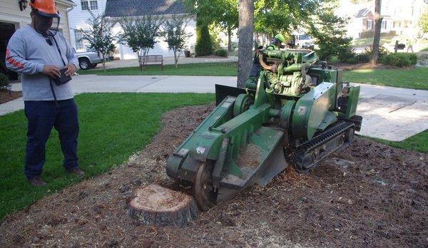 Stump grinding in Kansas City