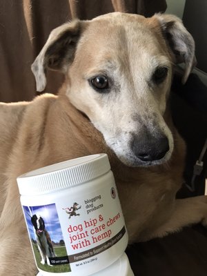 We also sell hip & joint care chew supplements with hemp!  Visit our sister web page at Blogging Dog Products