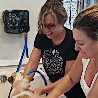 Shirley, the owner, helping me learn how to use the self-bathing. So easy! Way better than doing this at home!