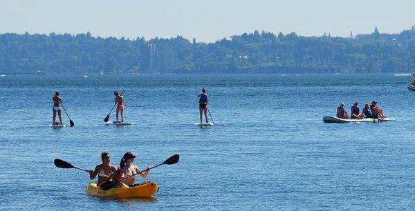 Kayaks and SUPs on Lake Washington