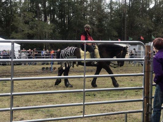 Hoggetowne Medieval Faire 2019