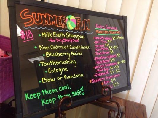 Summer specials!