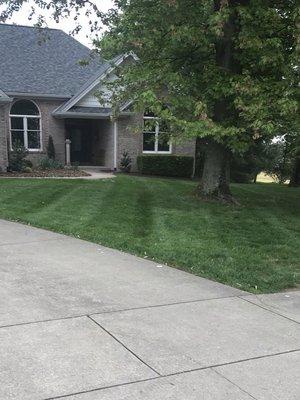 Lawn mowing/striping