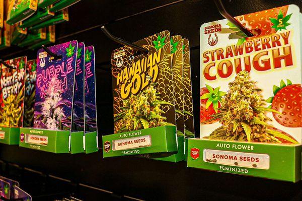 HUGE selection of seeds available!!