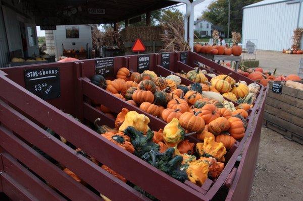 Gourds