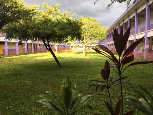 Schofield Soloman Elementary School. Hydroseed Temporary irrigation Second mow