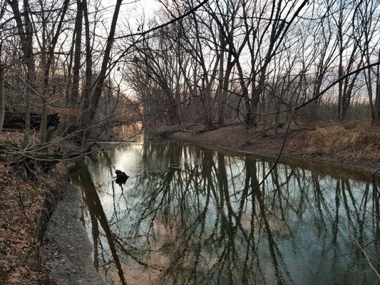 Sunset at the Tiffin River at the outside edge of the Preserve.