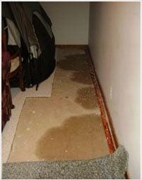 Water Damage Restoration Services in West Hollywood, CA