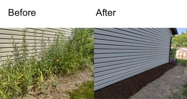 The customer wanted the whole side cleaned up and placed down mulch afterwards of the cleaning.