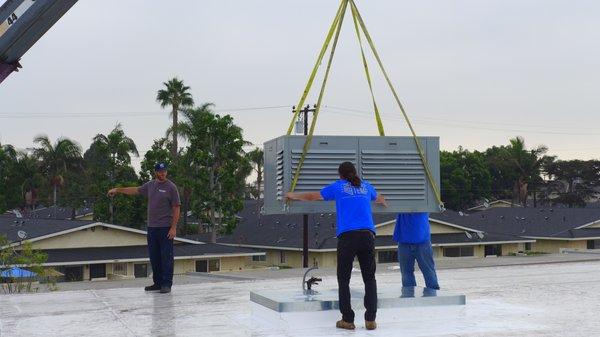 Then putting it on the roof with a crane.