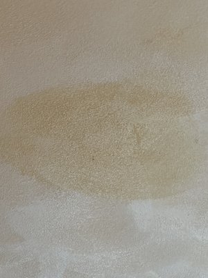 Ceiling from leaking roof