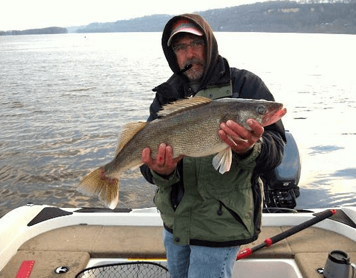 Walleye To Whitetails