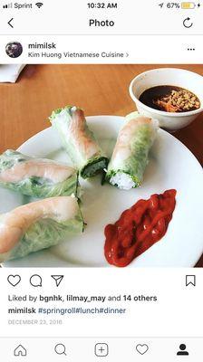 Their yummy spring rolls win the peanut dipping sauce